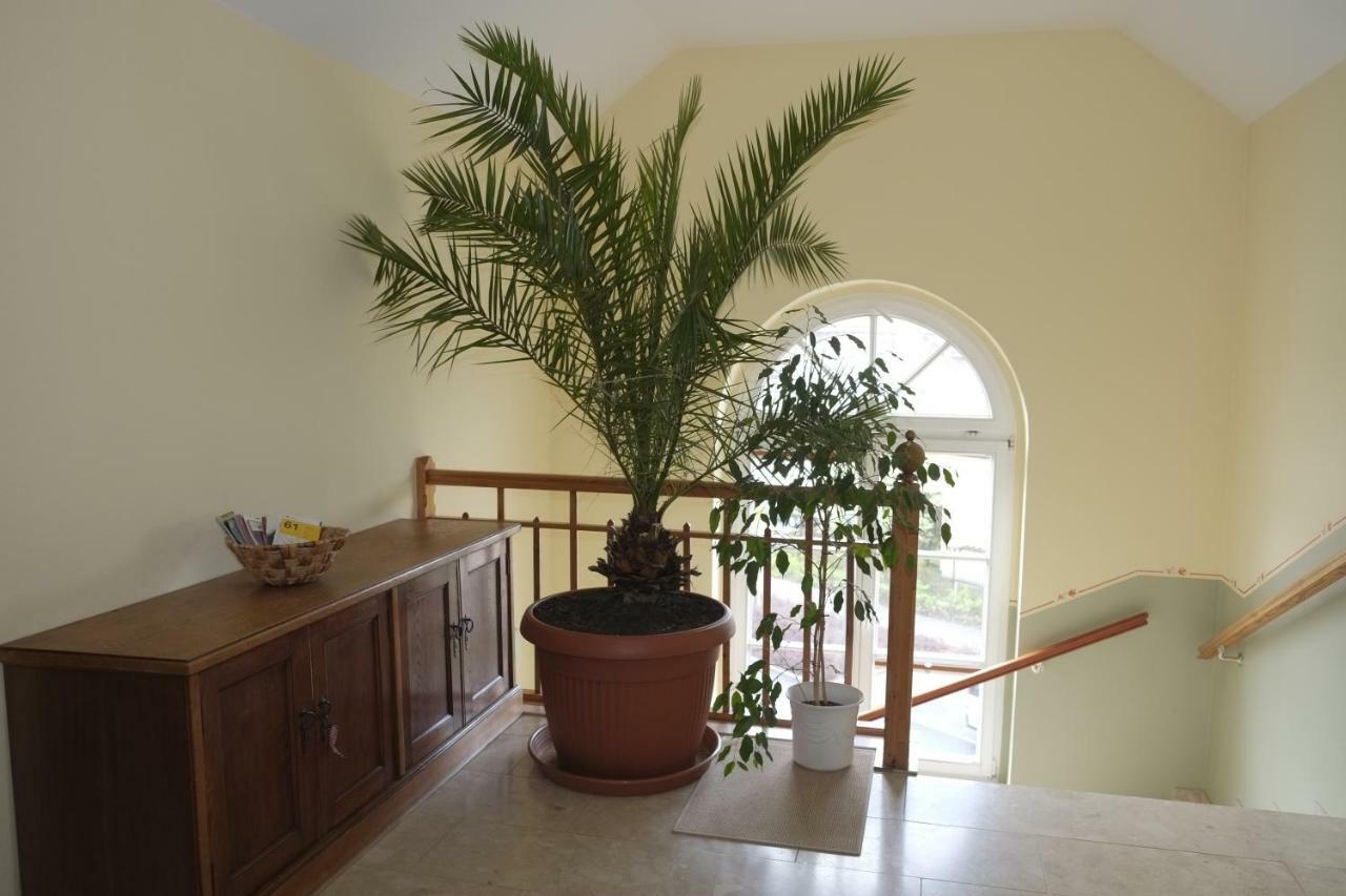 Gaestewohnung Elstroem Dresden Ngoại thất bức ảnh
